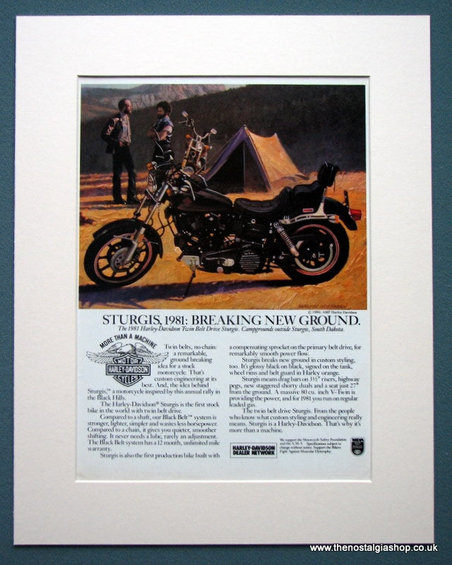 Harley Davidson Twin Belt Drive Sturgis. Original advert 1981 (ref AD1314)
