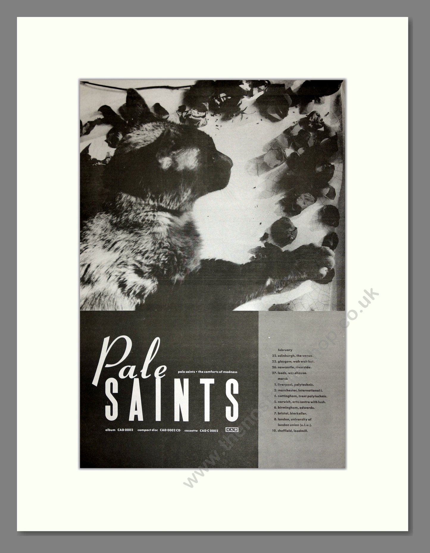 Pale Saints - The Comforts of Madness UK Tour. Vintage Advert 1990 (ref AD16684)