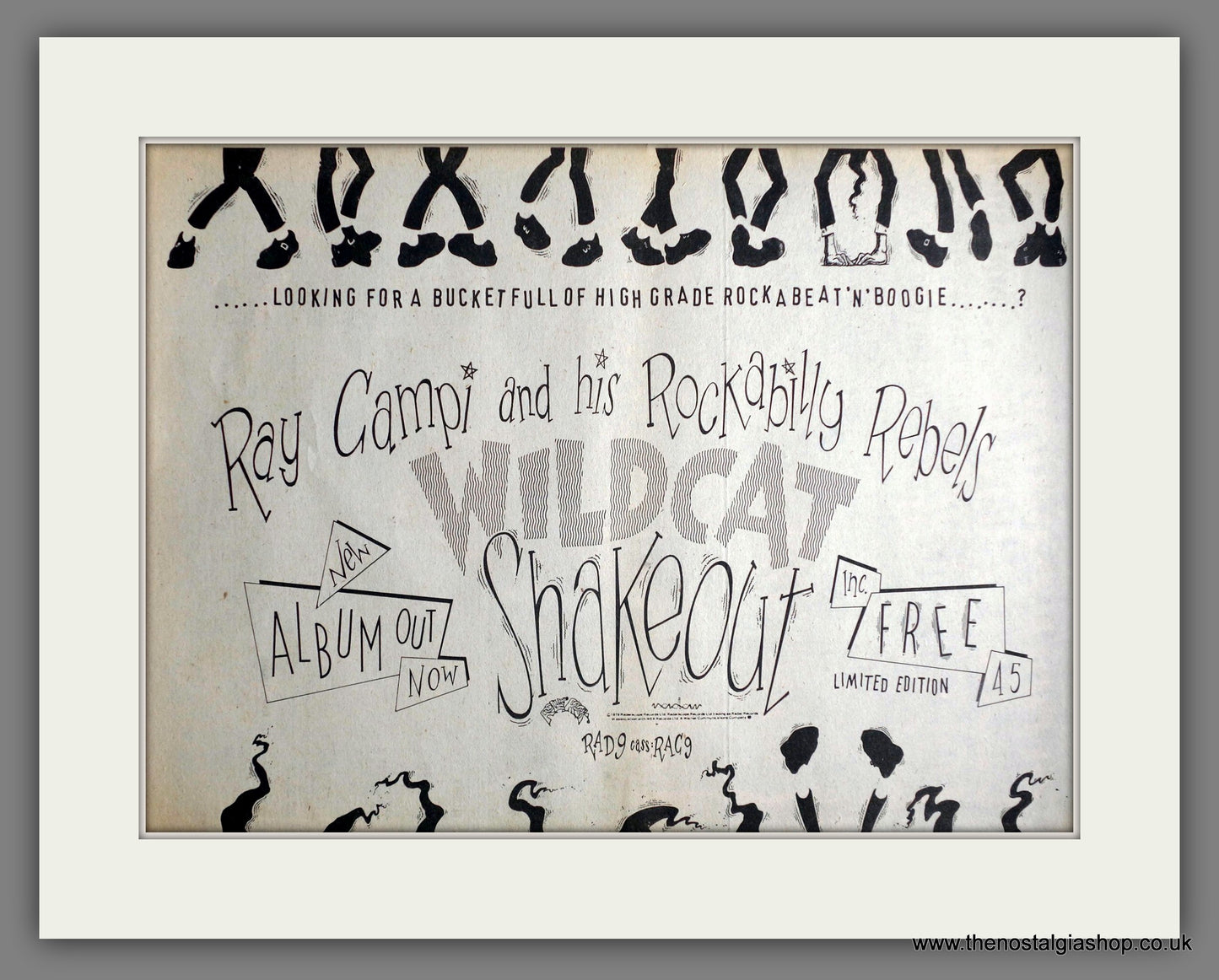 Ray Campi. Wildcat Shakeout. Vintage Advert 1979 (ref AD14145)