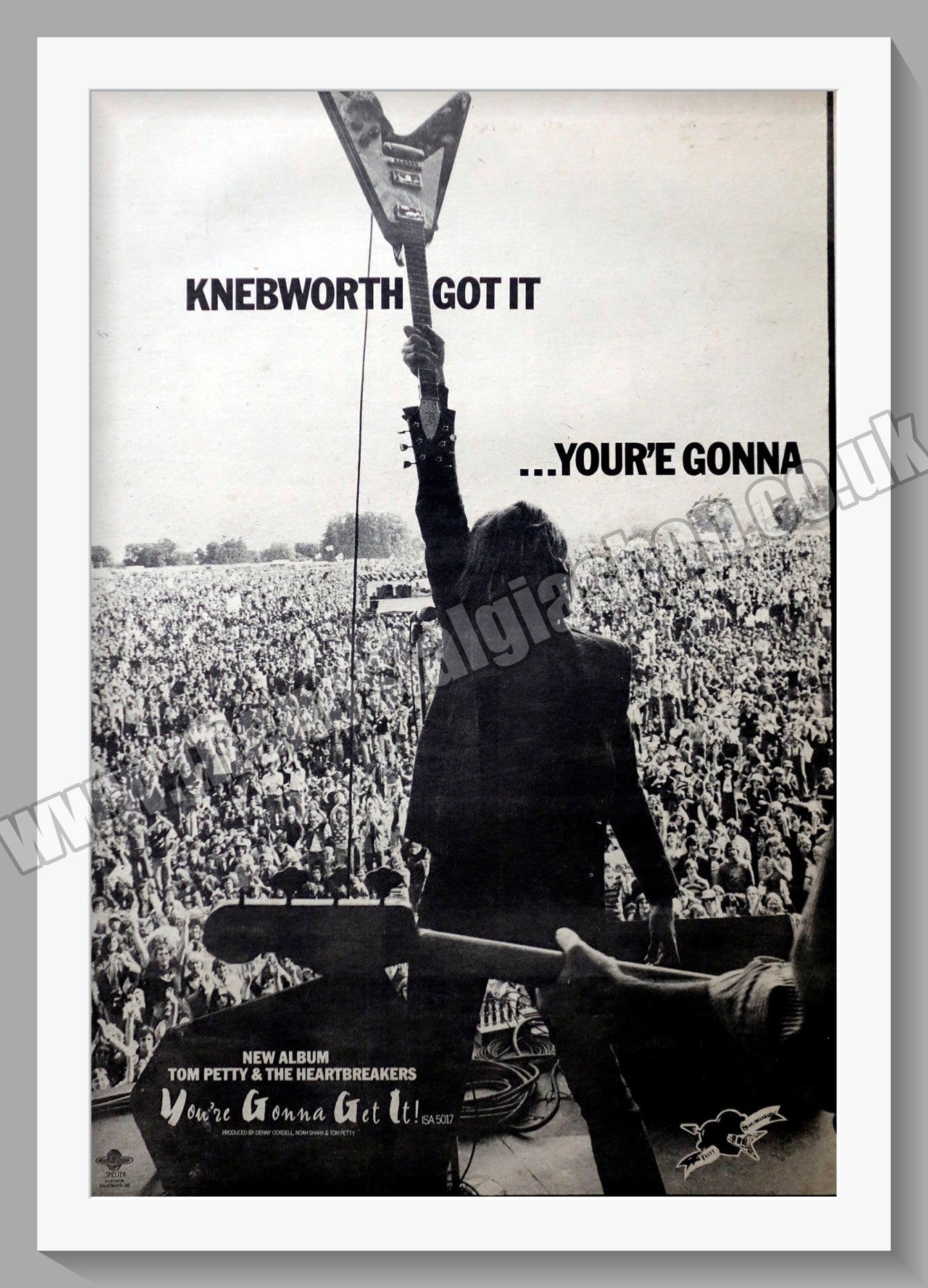 Tom Petty And The Heart Breakers At Knebworth. Original Advert 1978 (ref AD14475)