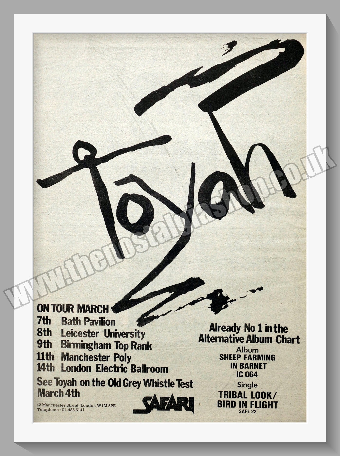 Toyah On Tour. Original Advert 1980 (ref AD14506)