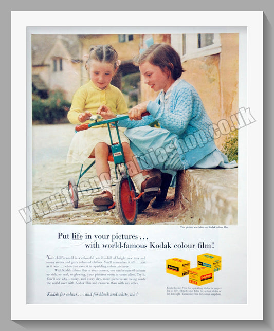 Kodak Colour Film. Original Advert 1960 (ref AD300639)