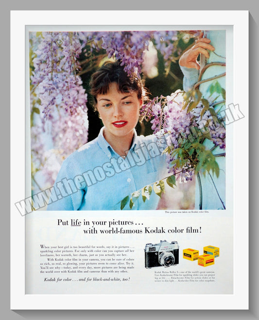 Kodak Colour Film. Original Advert 1960 (ref AD300640)
