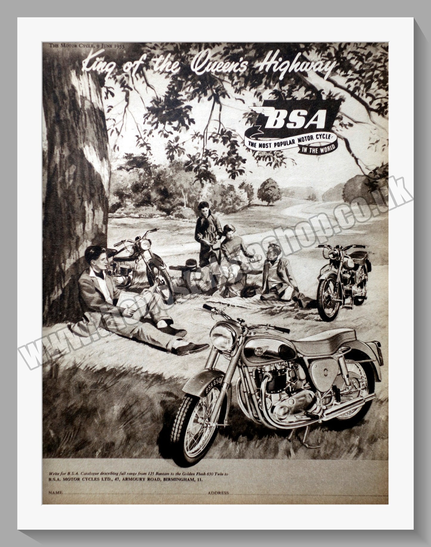 BSA. King of the Queen's Highway. Original Advert 1955 (ref AD56878)