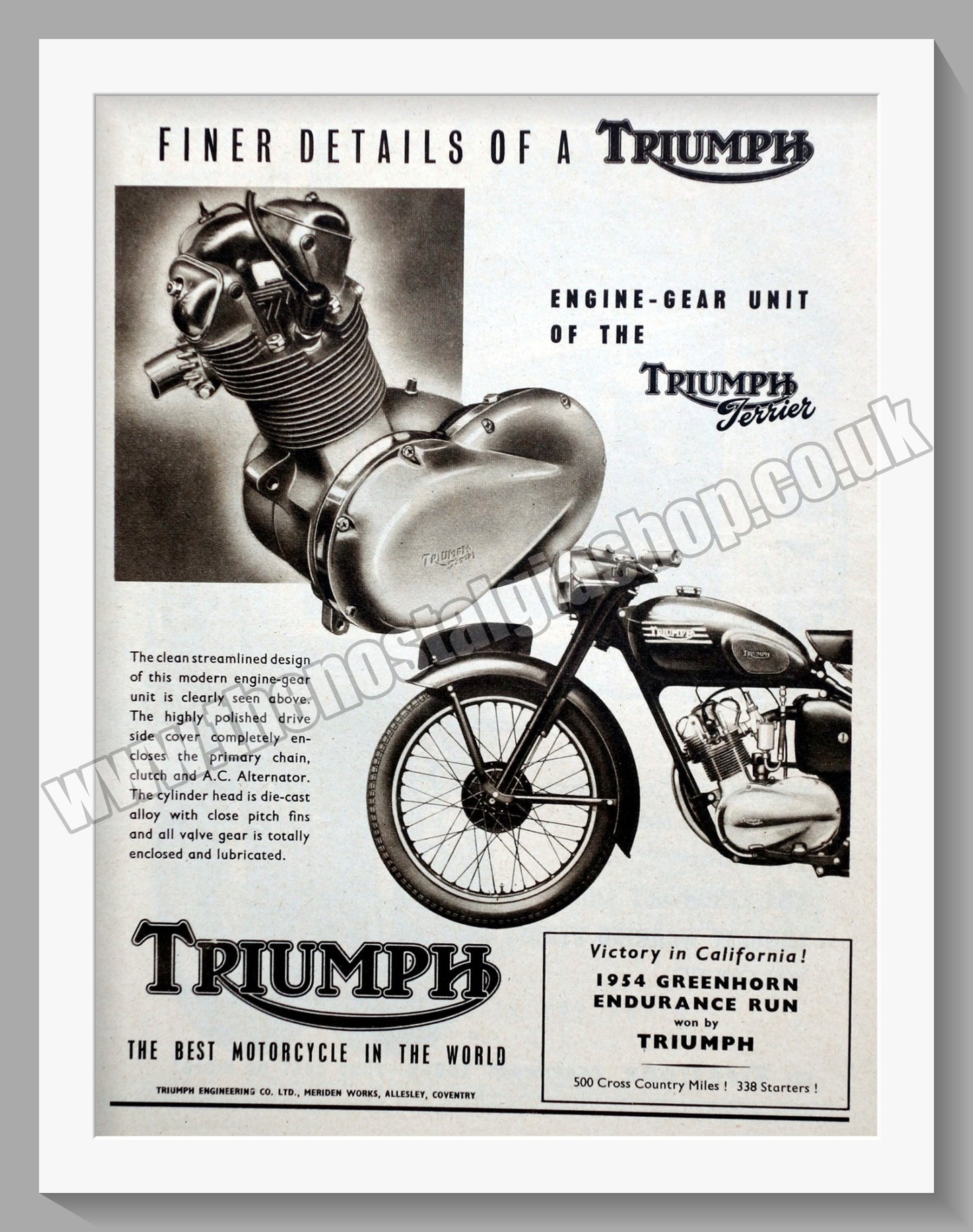 Triumph Motorcycles. Original advert 1954 (ref AD58099)