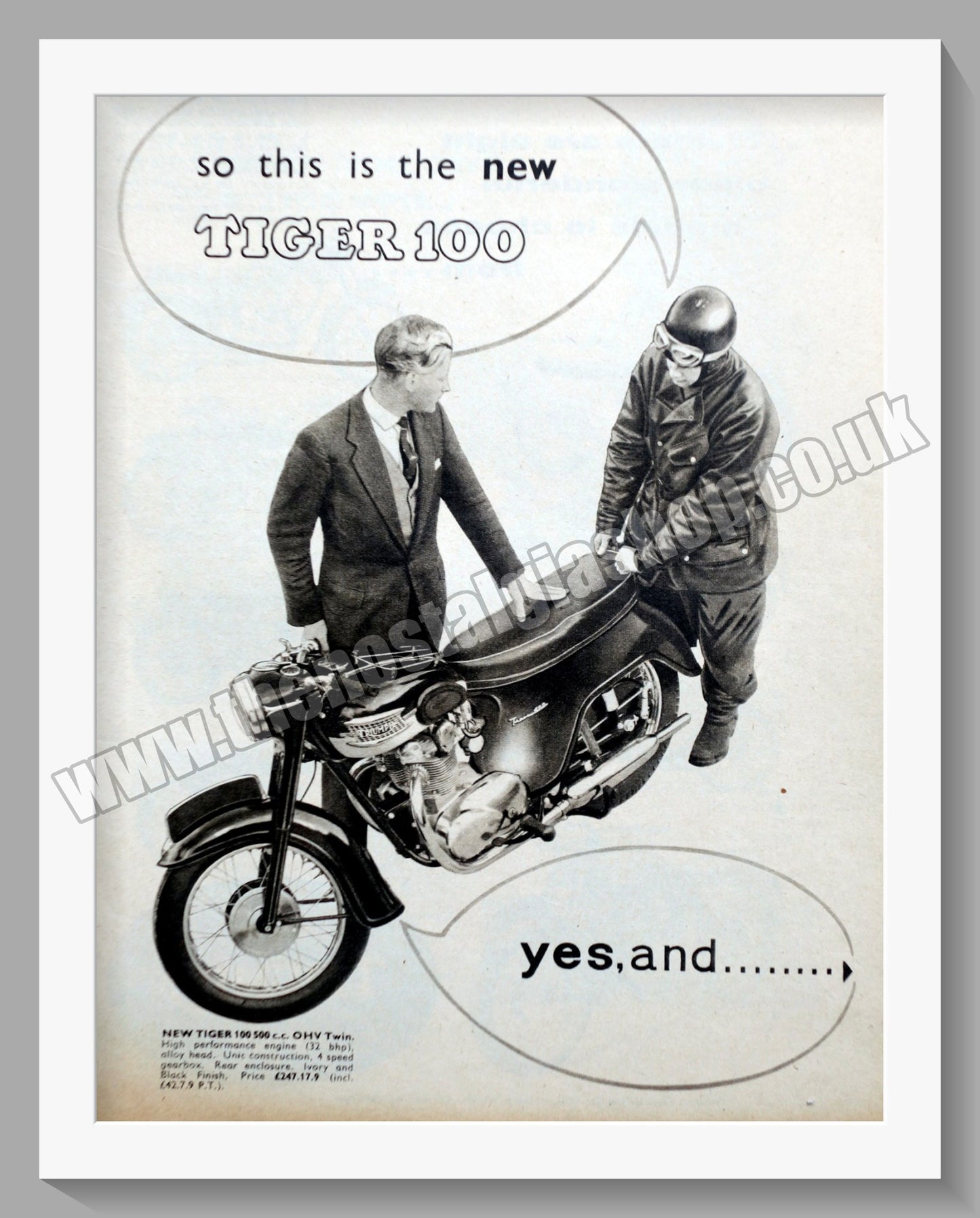 Triumph Tiger 100 Motorcycles. Original advert 1959 (ref AD58116)