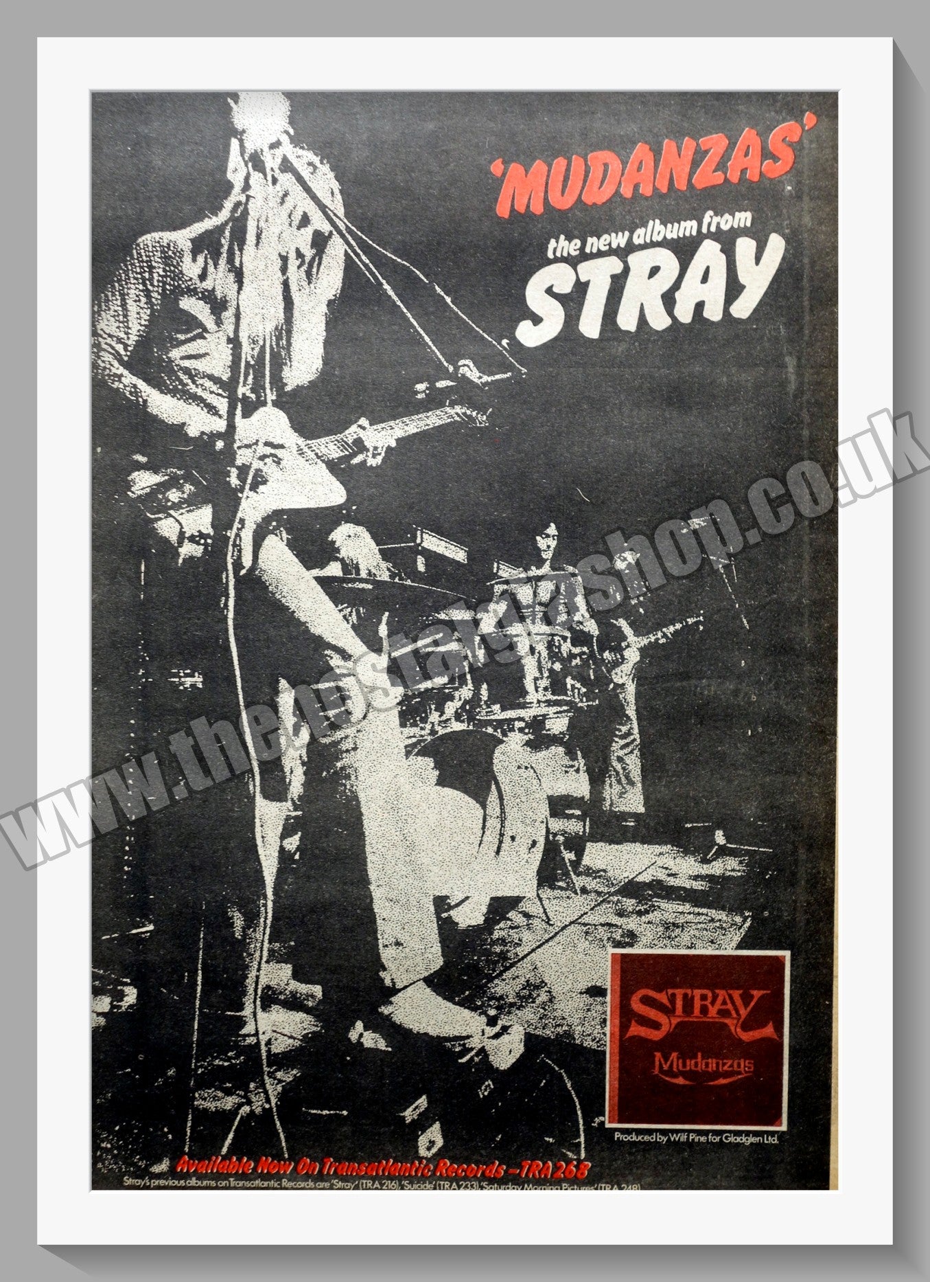 Stray Mudanzas. Original Advert 1973 (ref AD14843)