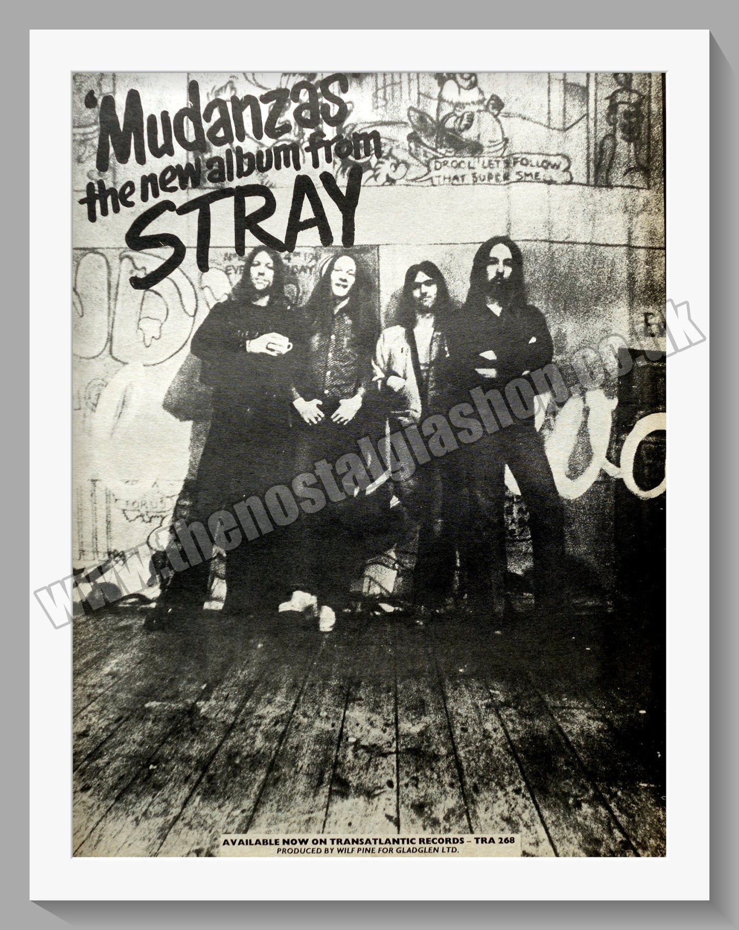 Stray Mudanzas. Original Advert 1973 (ref AD14844)