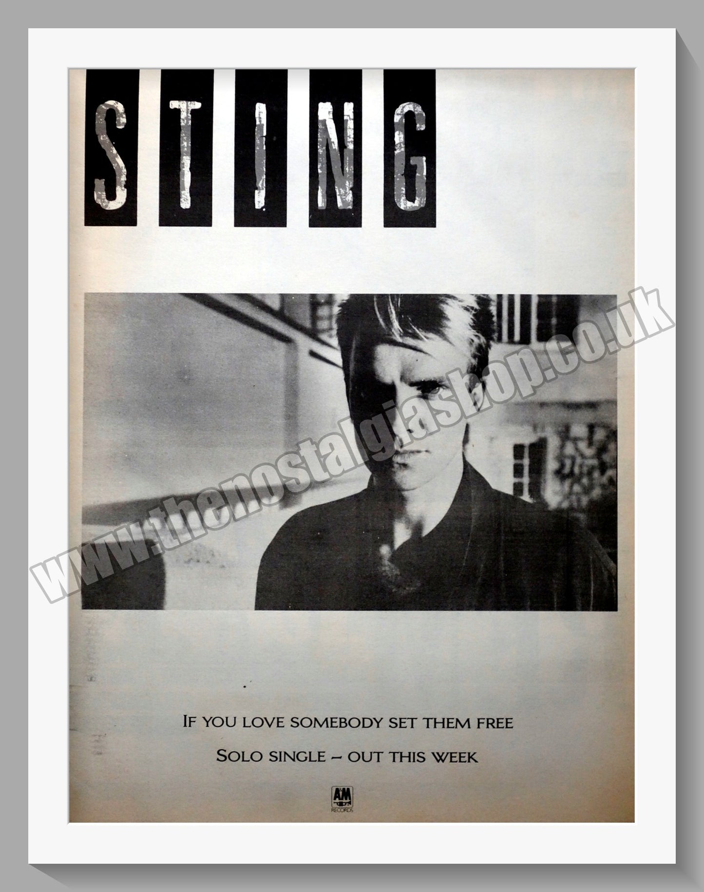 Sting If You Love Somebody Set Them Free. Original Advert 1985 (ref AD14914)
