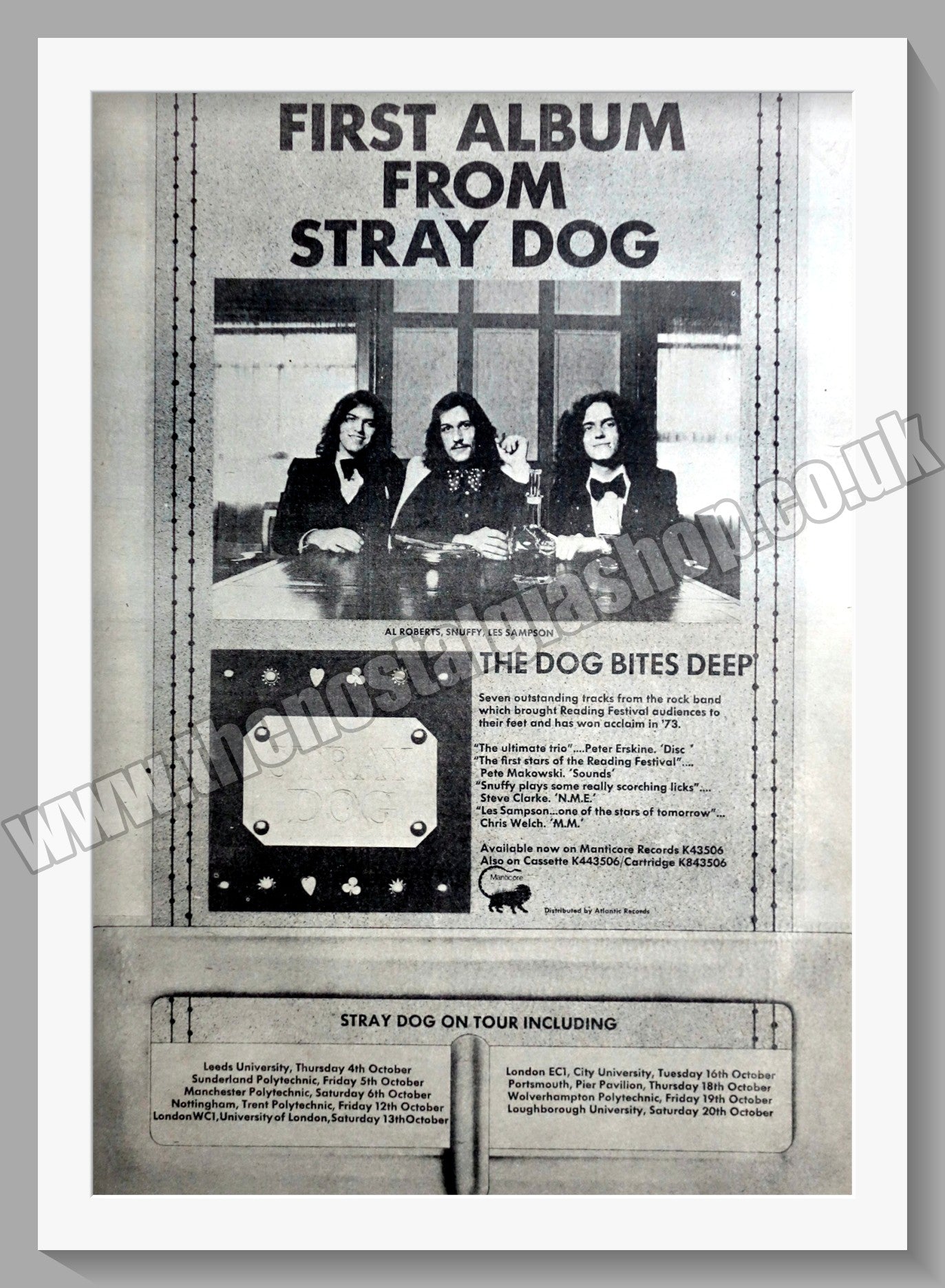 Stray Dog Tour. Original Advert 1973 (ref AD14944)
