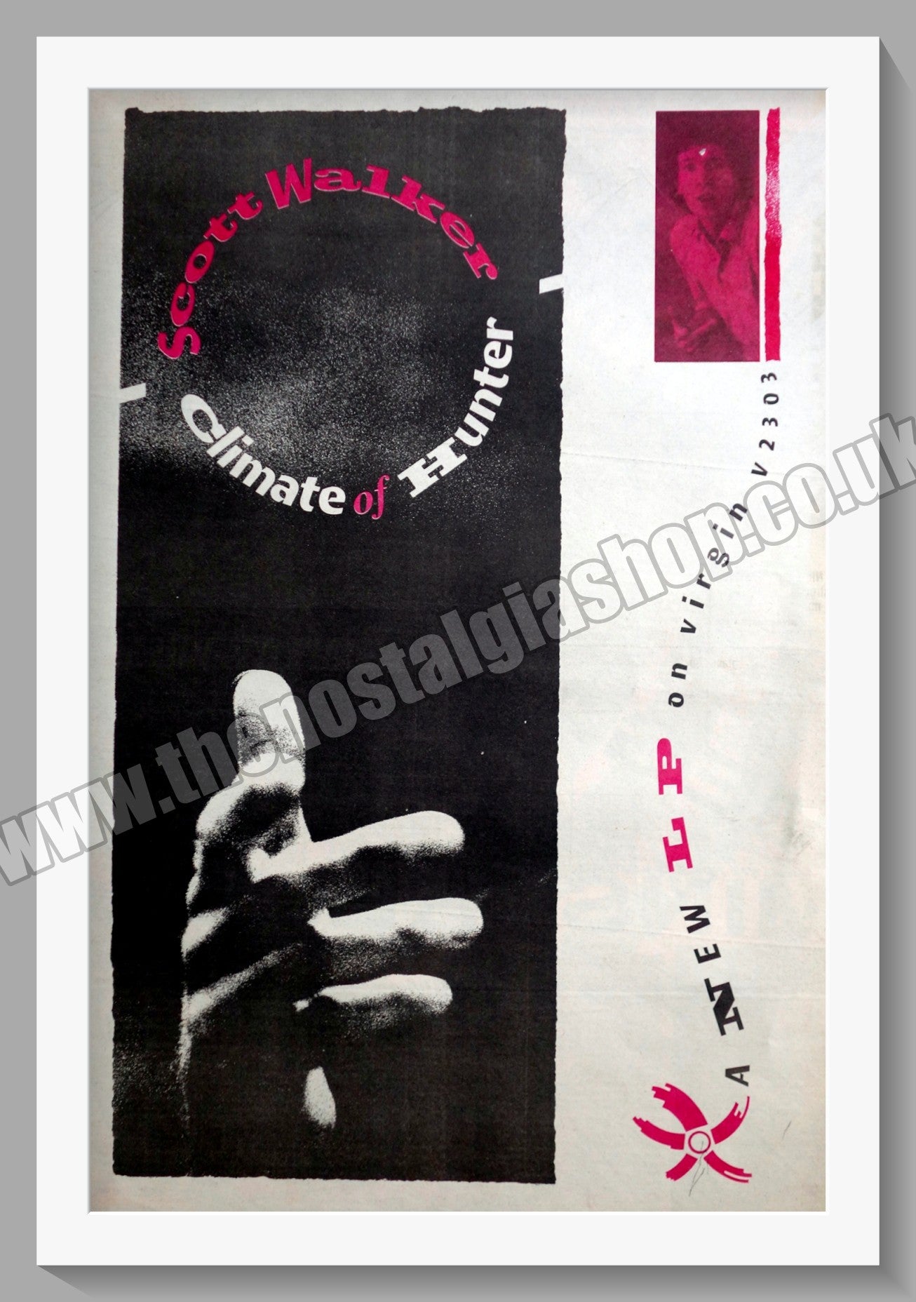 Scott Walker Climate Of Hunter. Original Advert 1984 (ref AD14947)