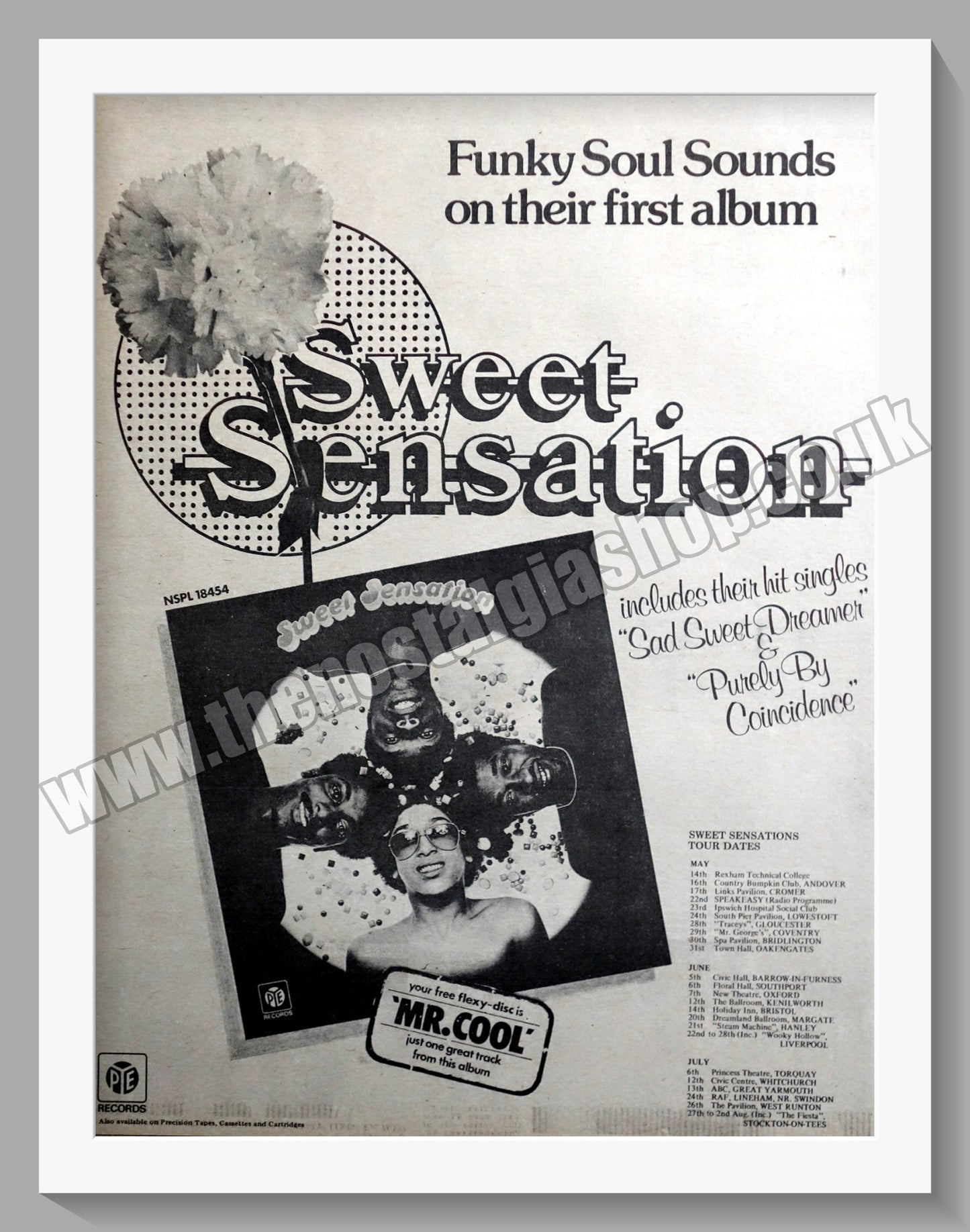 Sweet Sensation Tour Dates. Original Advert 1975 (ref AD14959)