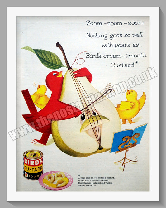 Bird's Custard Powder. Original Advert 1957 (ref AD300744)