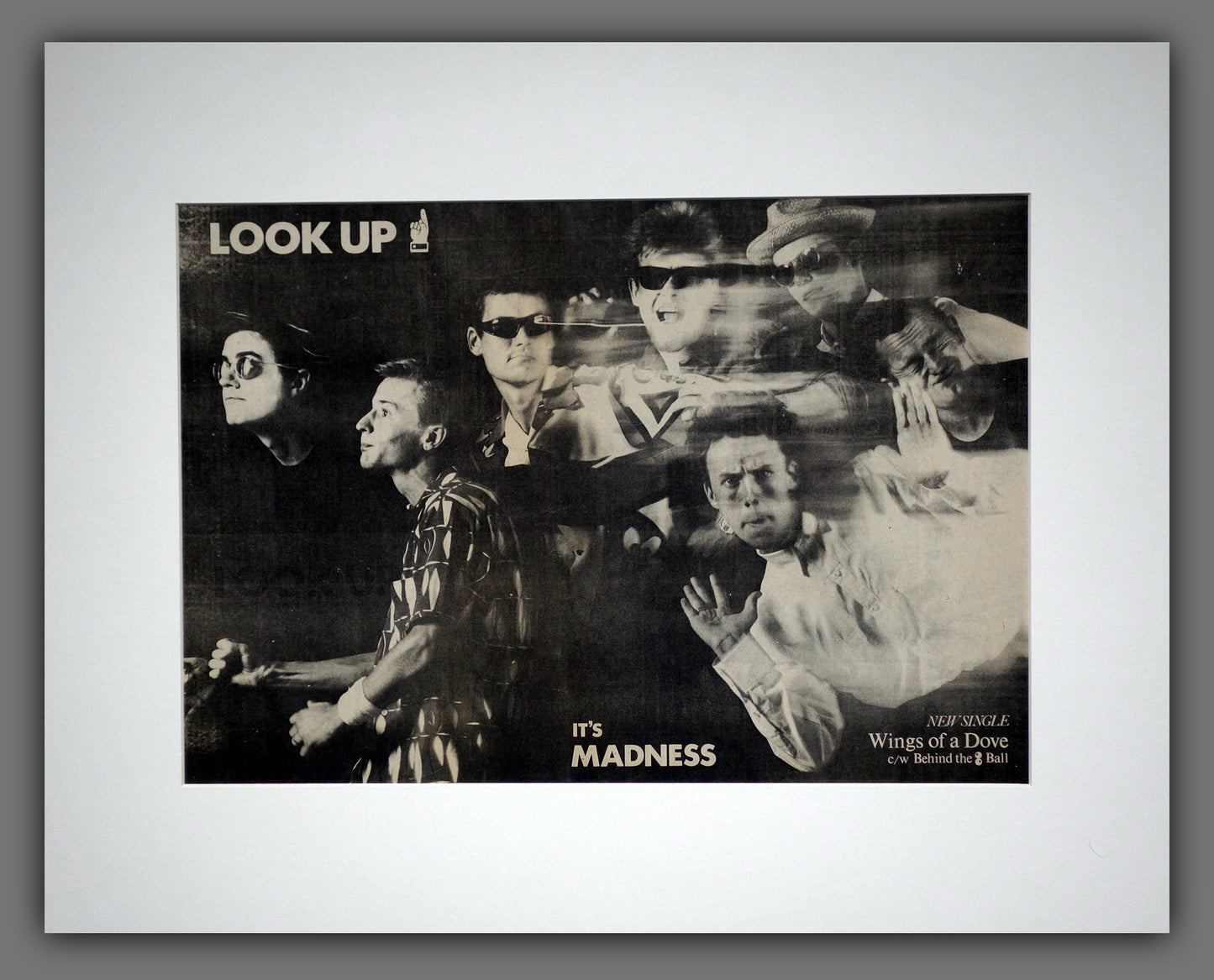 Madness. Wings Of A Dove. Original Advert 1983 (ref AD16002m)