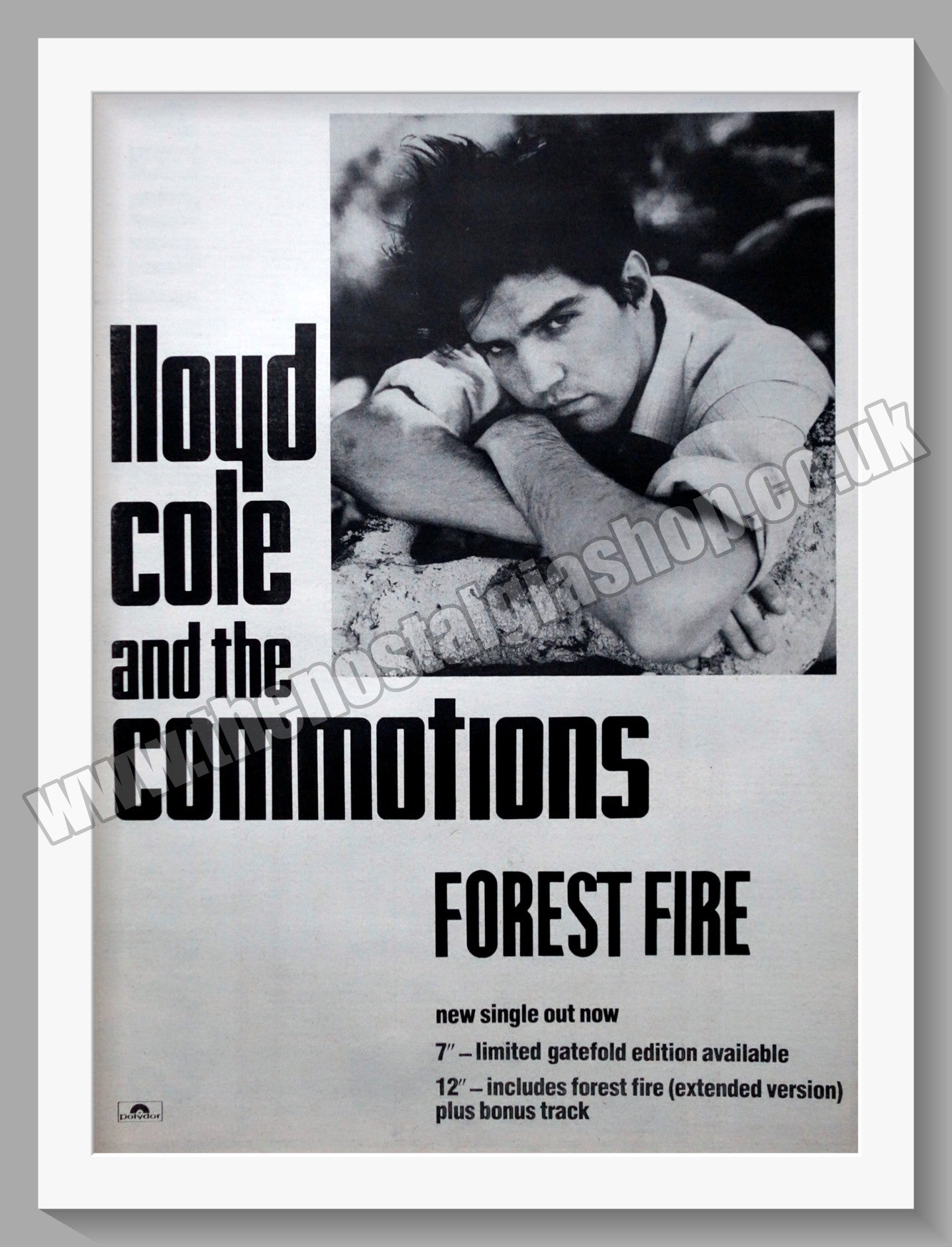 Lloyd Cole And The Commotions Forest Fire. 1984 Large Original Advert (ref AD15198)