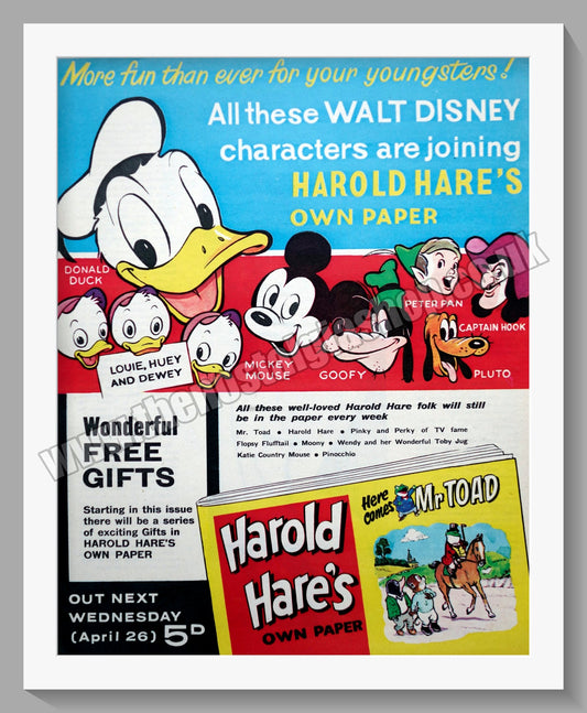 Harold Hare's Own Paper. Original Advert 1961 (ref AD300864)