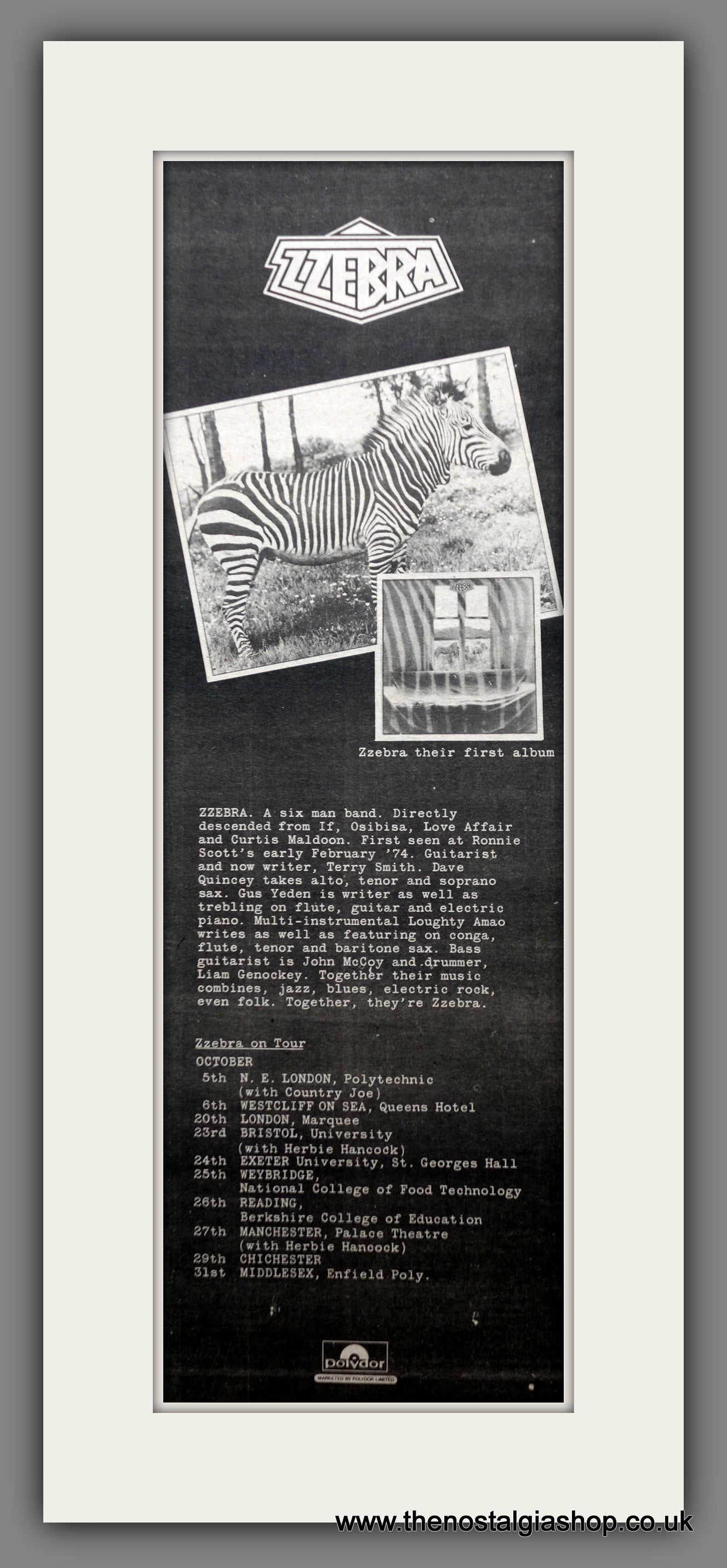 ZZebra Debut Album, UK Tour Dates. Original Advert 1974 (ref AD200496)