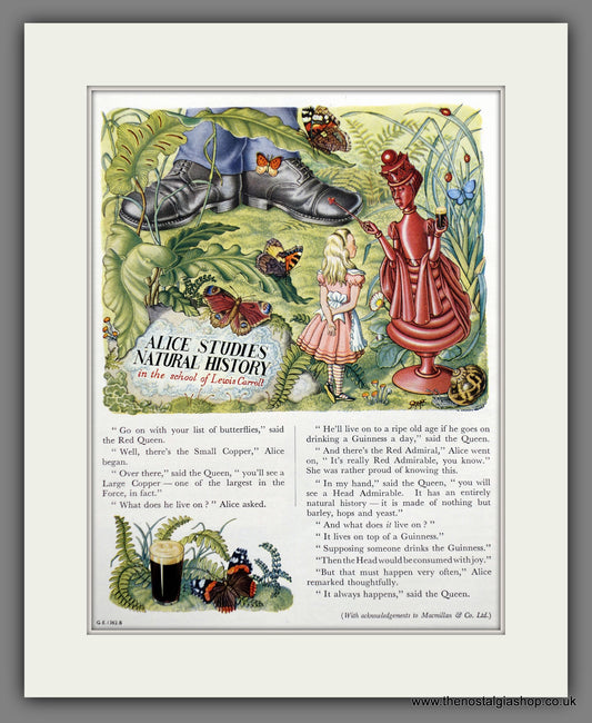 Guinness. Alice Studies Natural History. 1948 Original Advert  (ref AD60838)