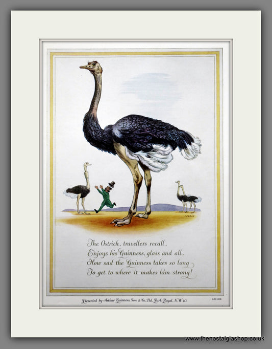 Guinness. Ostrich. 1952 Original Advert  (ref AD60856)