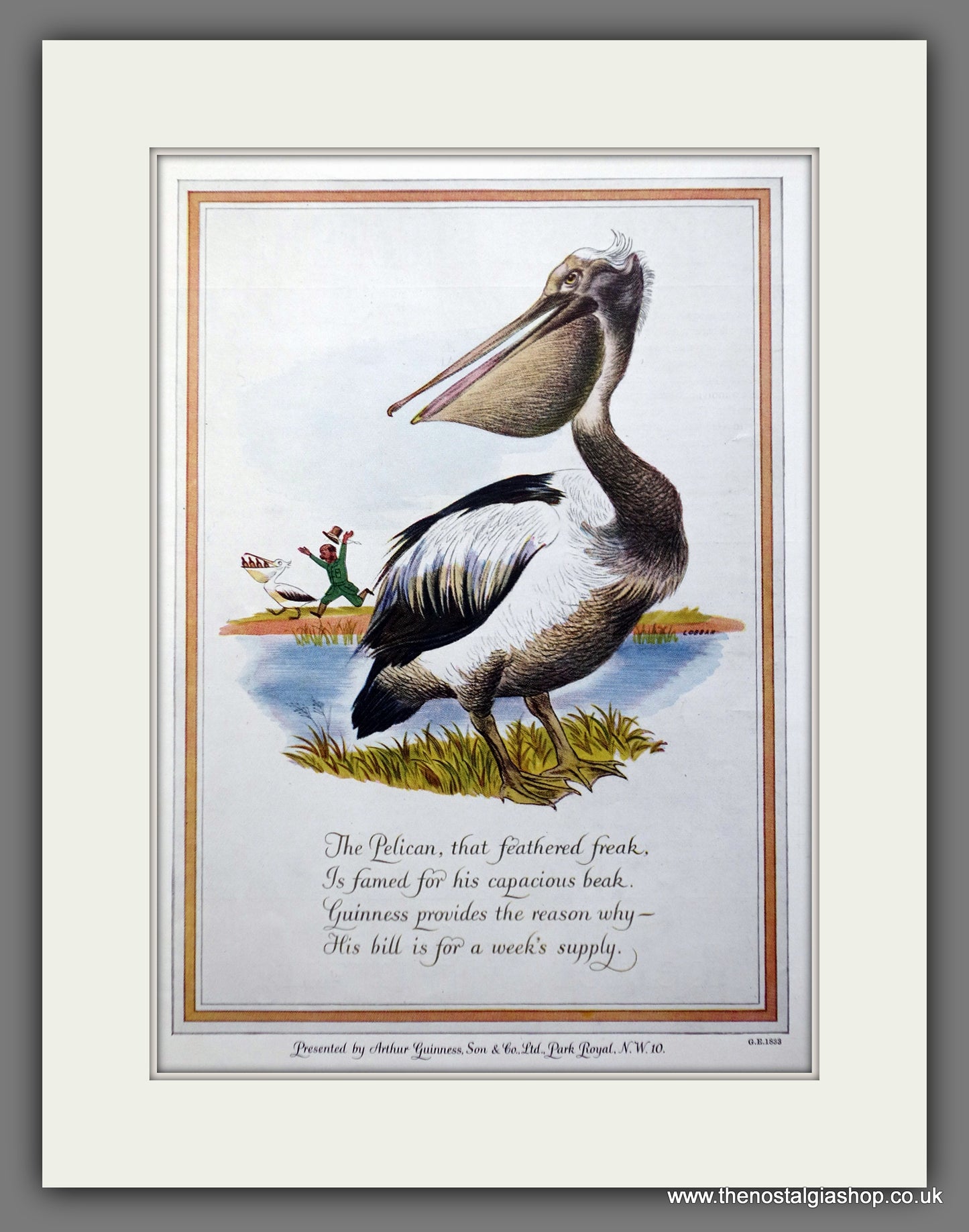 Guinness. Pelican. 1952 Original Advert (ref AD60858)