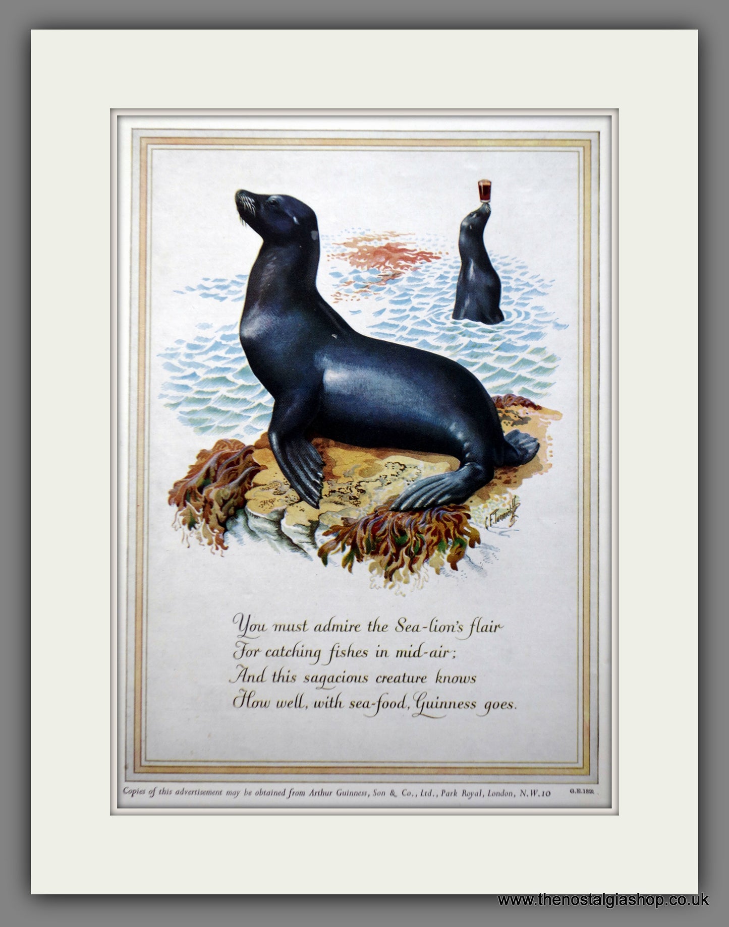 Guinness. Sea Lion. 1952 Original Advert (ref AD60859)