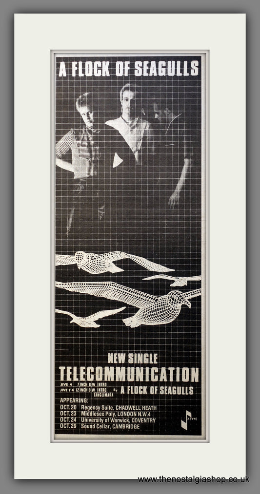 A Flock Of Seagulls Telecommunication. Original Advert 1981 (ref AD200510)