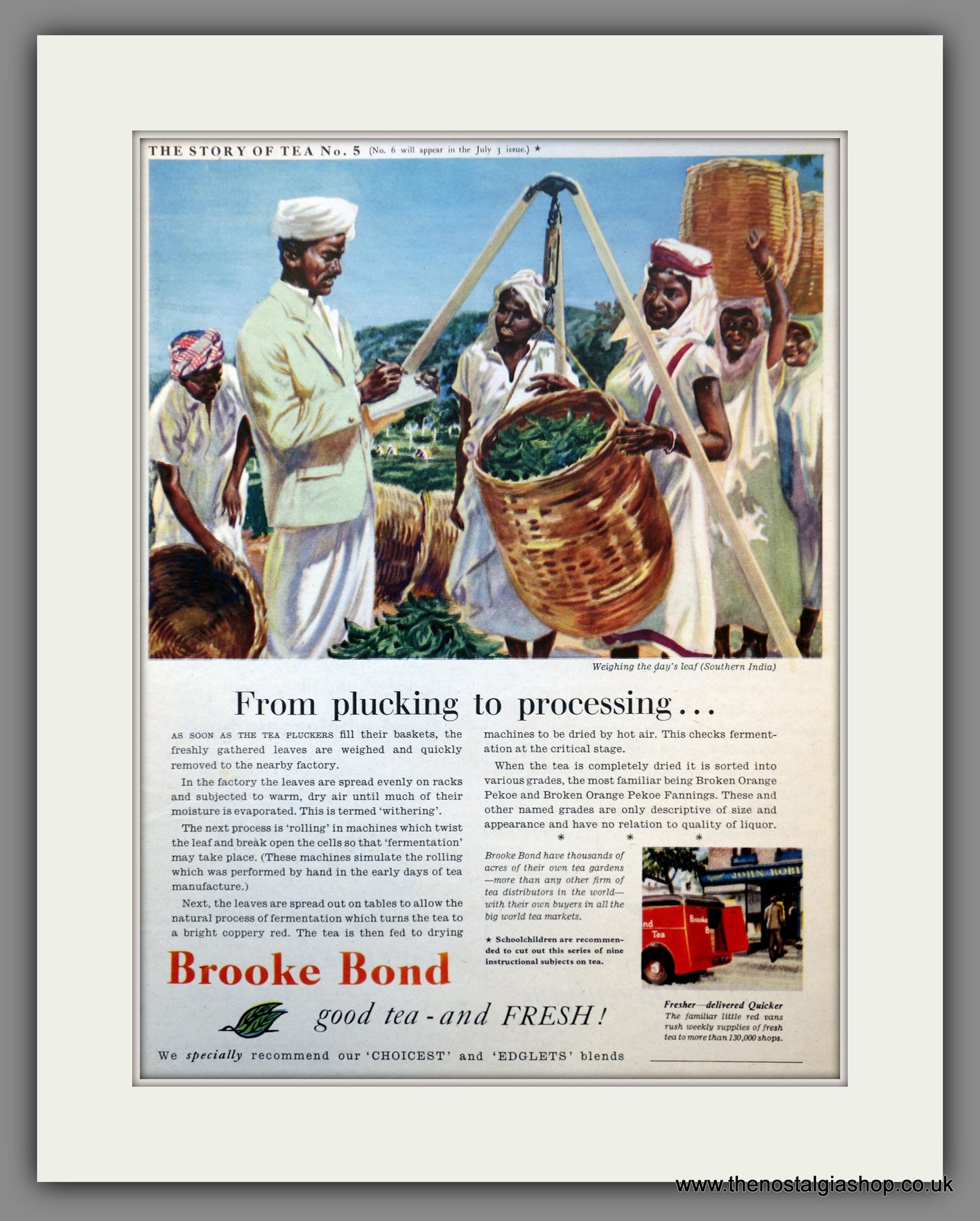 Brooke Bond Tea. Original Advert 1954 (ref AD300968)