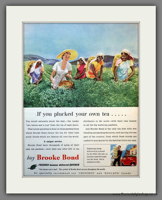 Brooke Bond Tea. Original Advert 1957 (ref AD300970)
