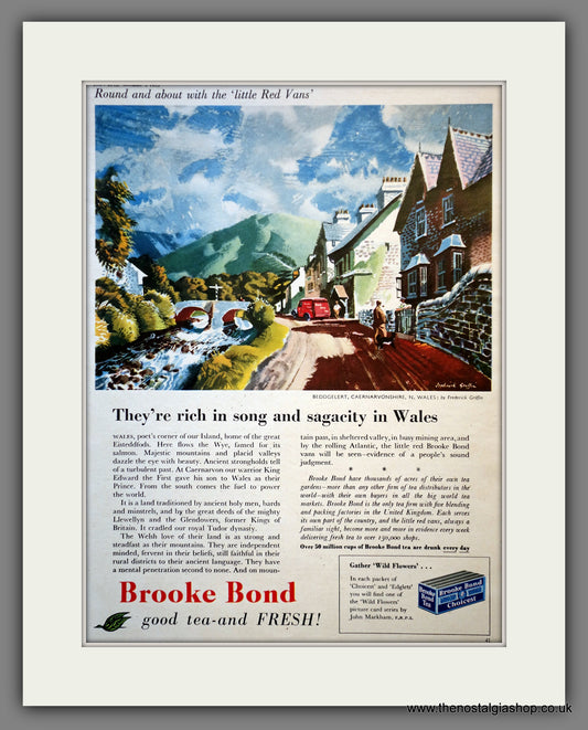 Brooke Bond Tea. Original Advert 1955 (ref AD300973)