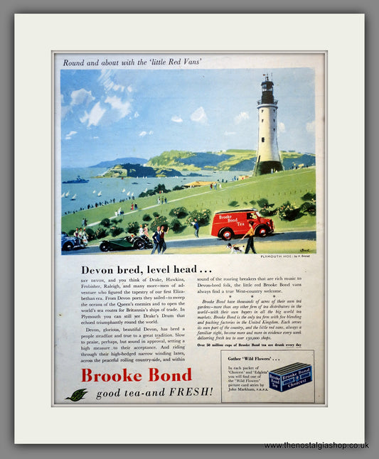 Brooke Bond Tea. Original Advert 1955 (ref AD300974)