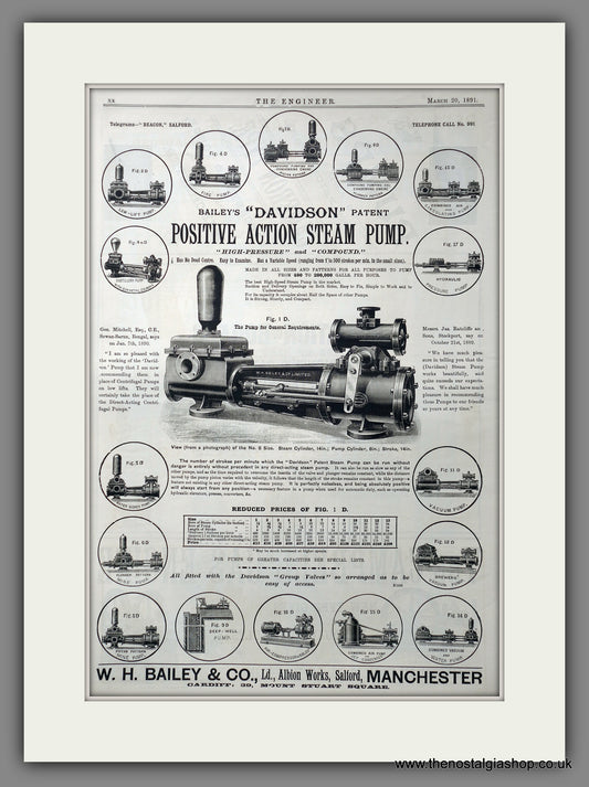 Davidson Positive Action Steam Pump. Original Advert 1891 (ref AD15580)