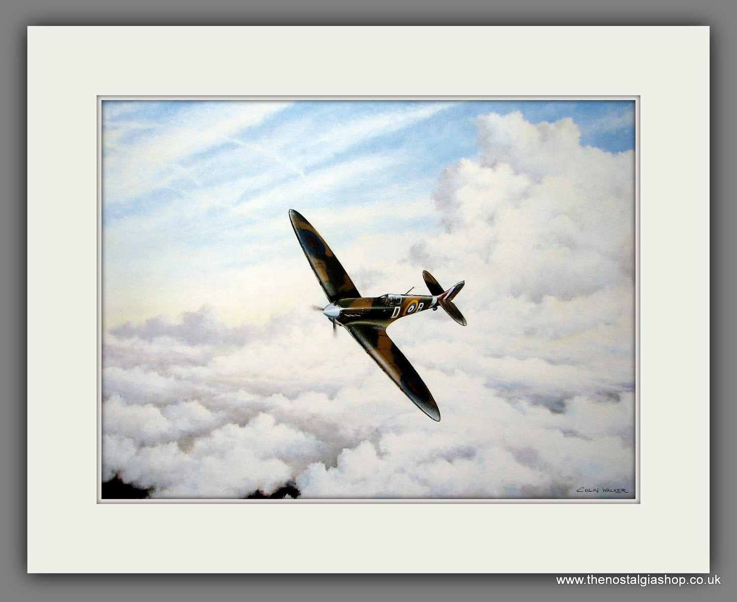 Spitfire MkV Bader's Bus. Mounted Aircraft print (ref N31)