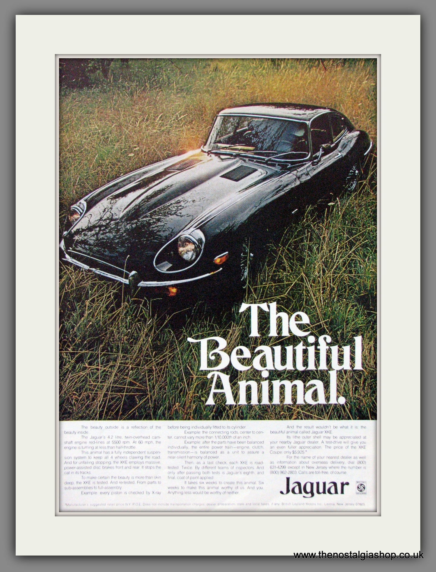 Jaguar XKE Coupe. The Beautiful Animal. 1970 Original American Advert (ref AD52038)
