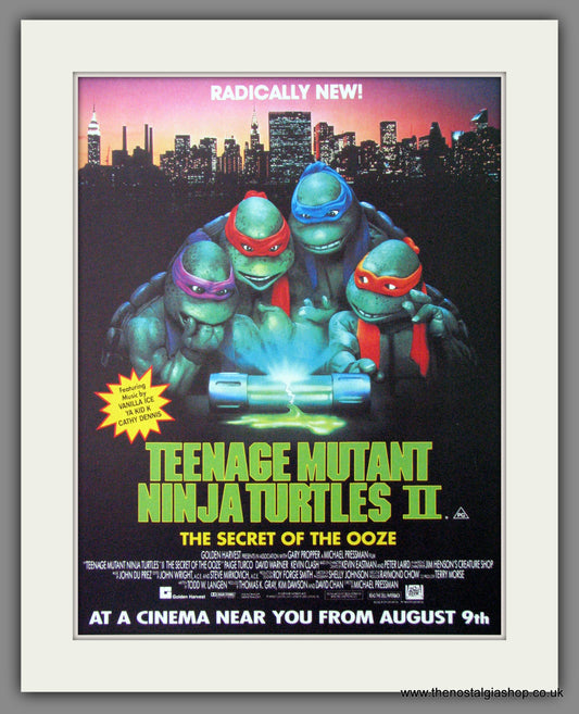 Teenage Mutant Ninja Turtles II. 1991 Original Advert (ref AD54281)