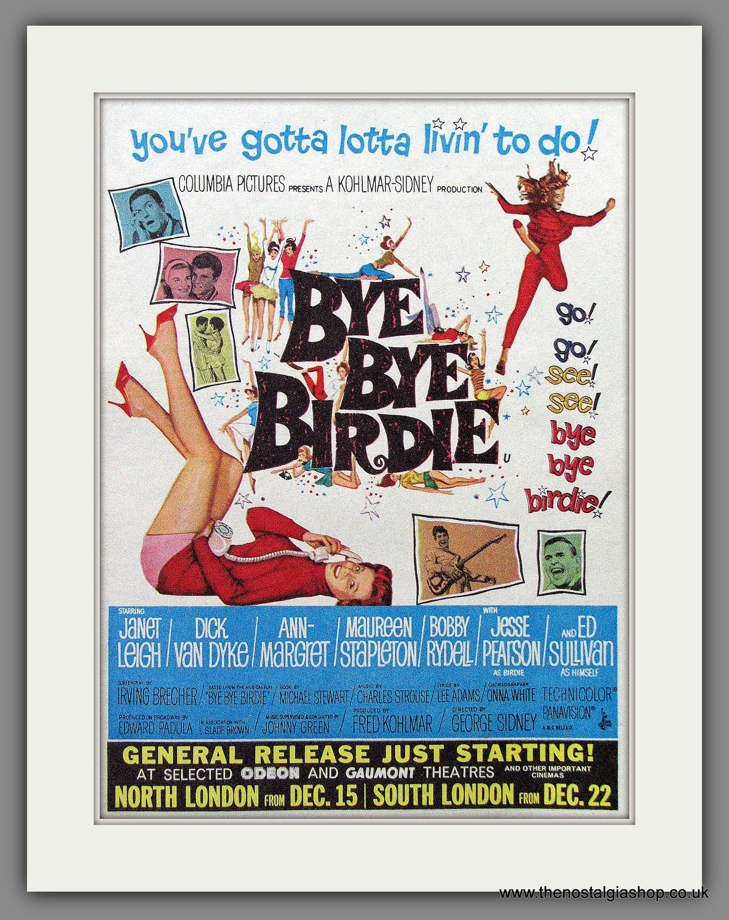 Bye Bye Birdie. Original Advert 1964 (ref AD53566)