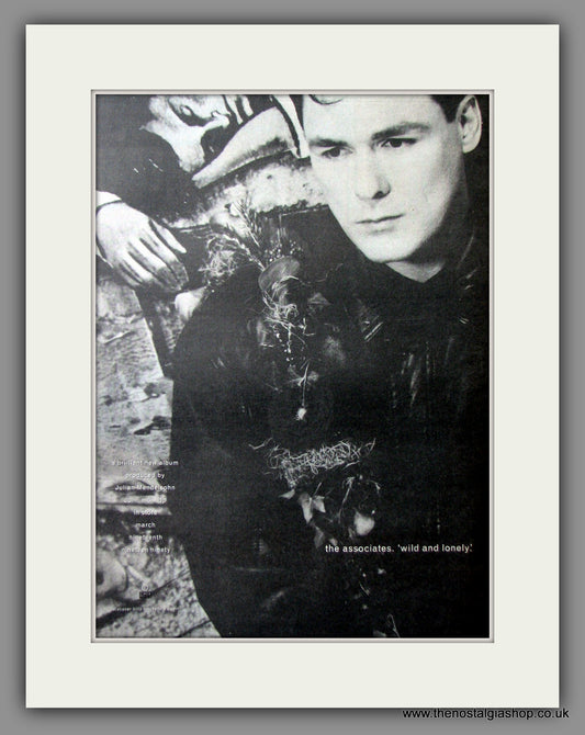 Associates (The). Wild and Lonely Original Advert 1990 (ref AD11552)