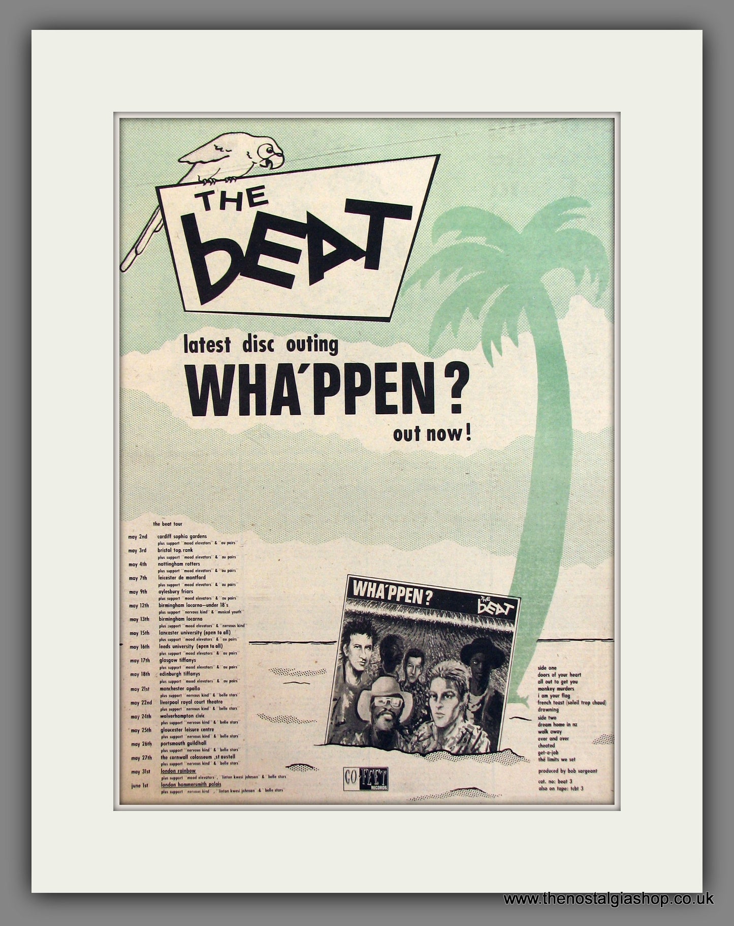 The Beat, Wha'ppen. Original Advert 1981 (ref AD11751)