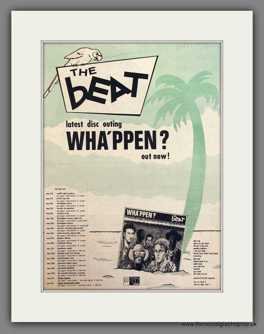 The Beat, Wha'ppen. Original Advert 1981 (ref AD11751)