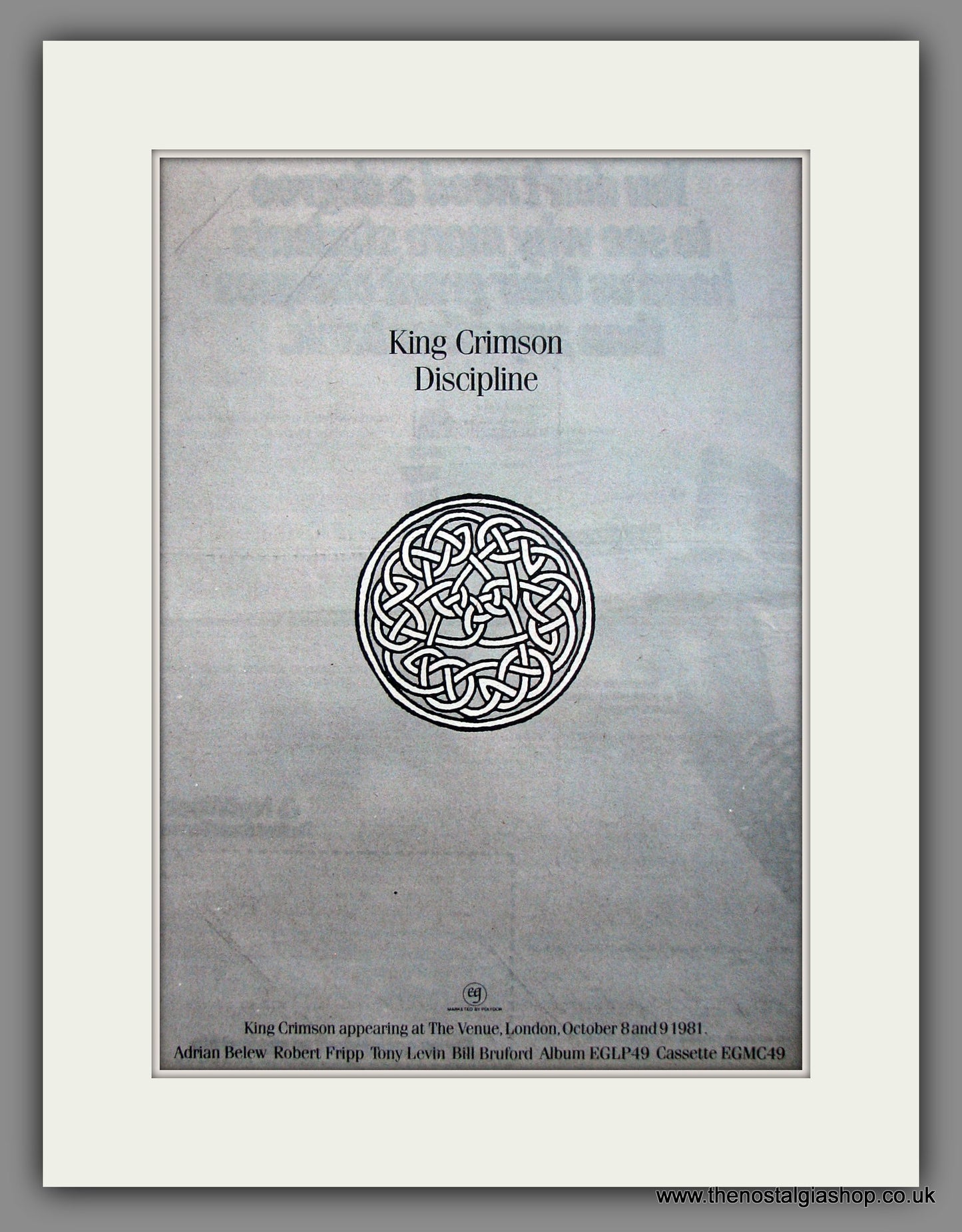 King Crimson. Discipline. Original Advert 1981 (ref AD11964)