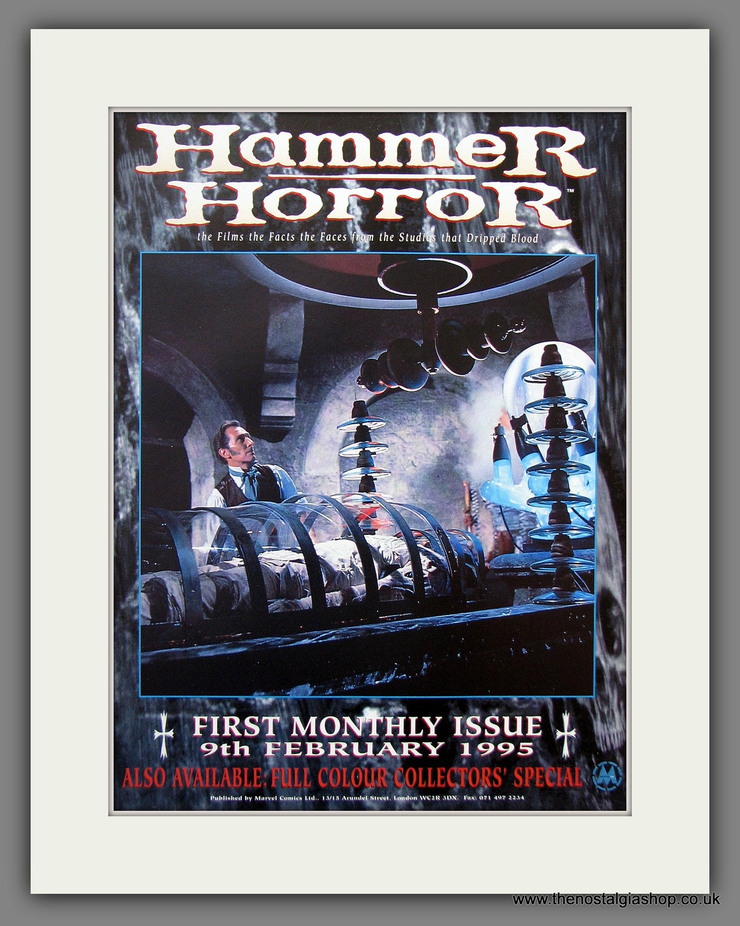 Hammer Horror. 1995 Original Advert (ref AD54937)