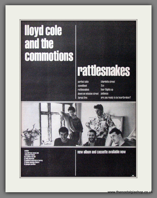 Lloyd Cole And The Commotions Rattlesnakes. Original Advert 1984 (ref AD12673)