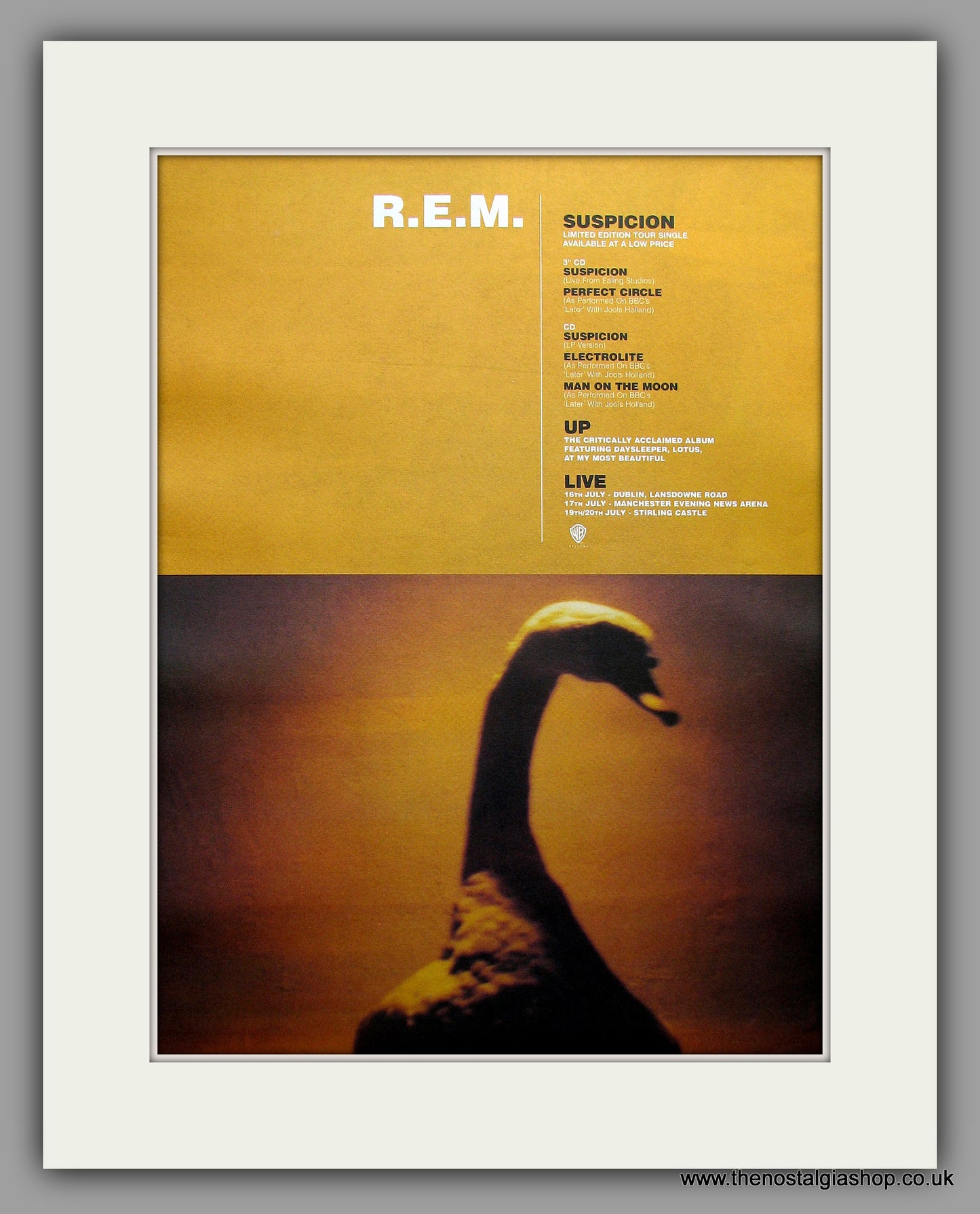 R.E.M - Suspicion. Original Vintage Advert 1995 (ref AD11022)