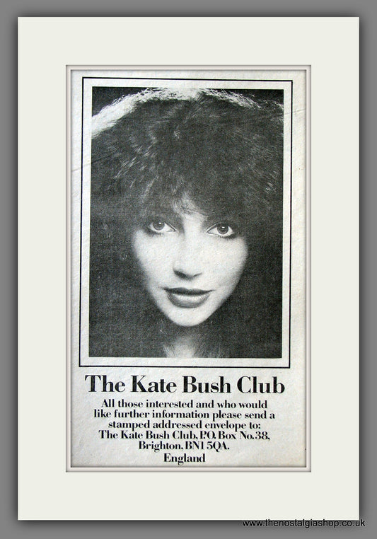 Kate Bush Club. Original Music Advert 1978 (ref AD55500)