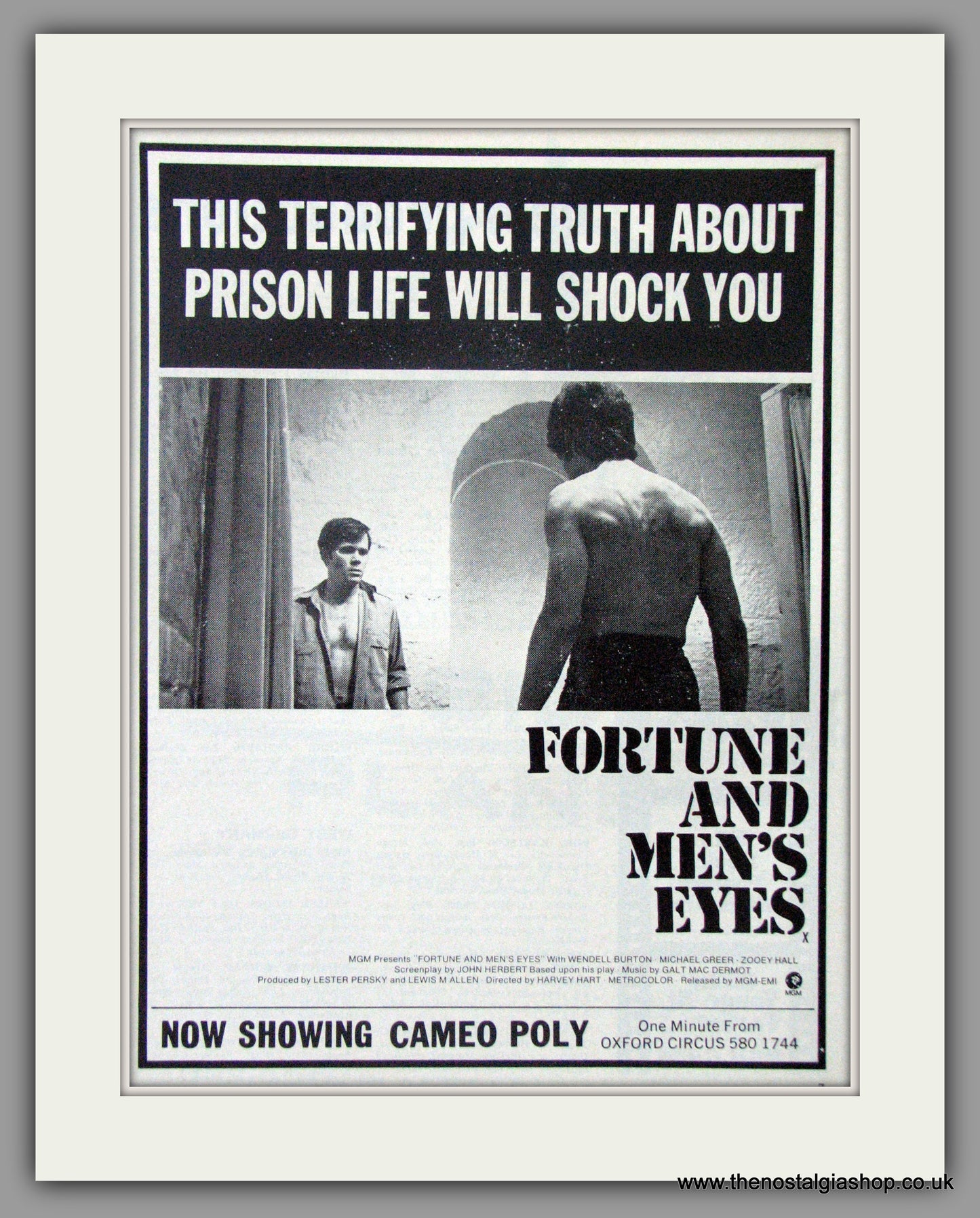 Fortune And Men's Eyes. Original Advert 1972 (AD50762)