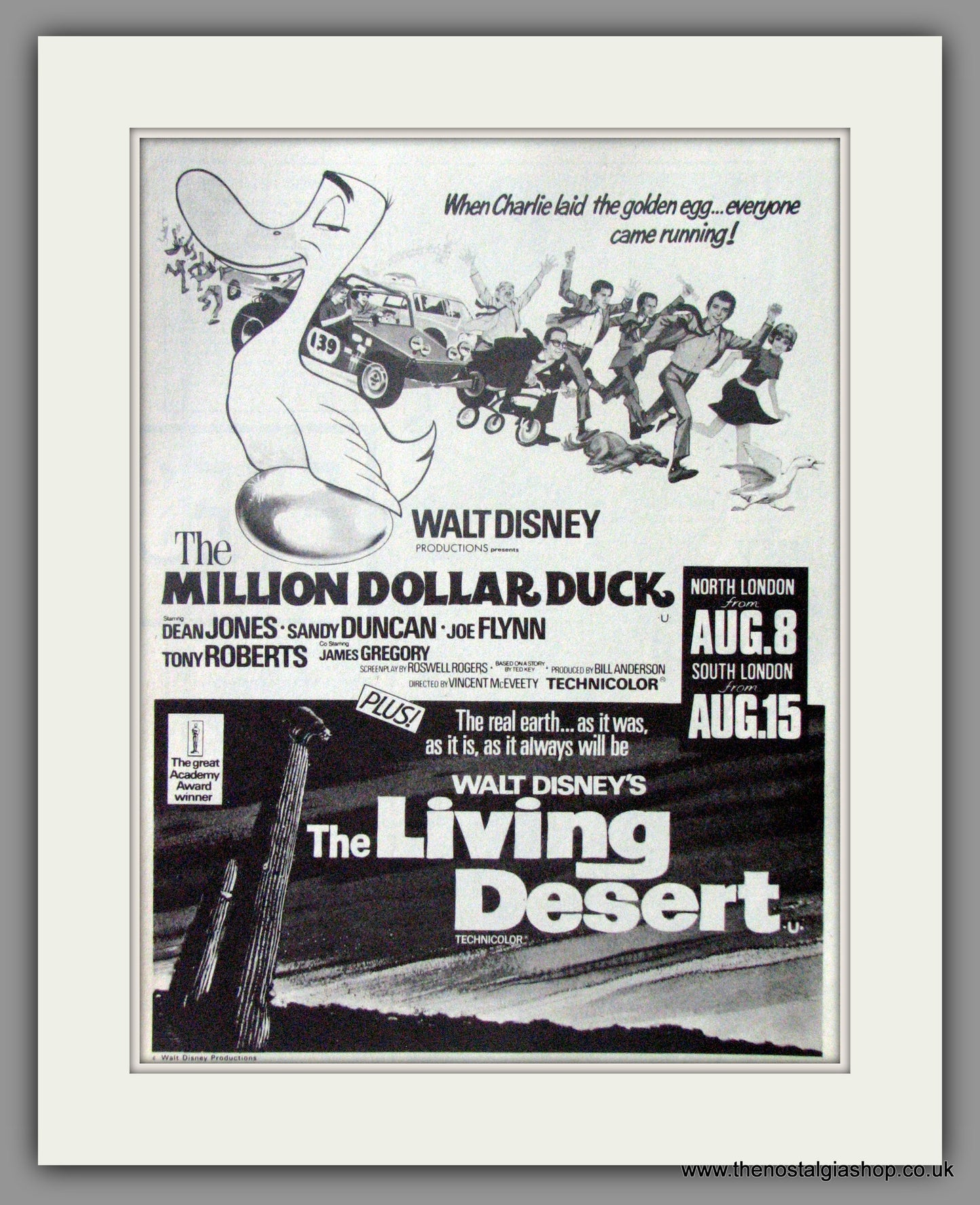 Million Dollar Duck (The) Walt Disney. Original Advert 1971 (ref AD50948a)