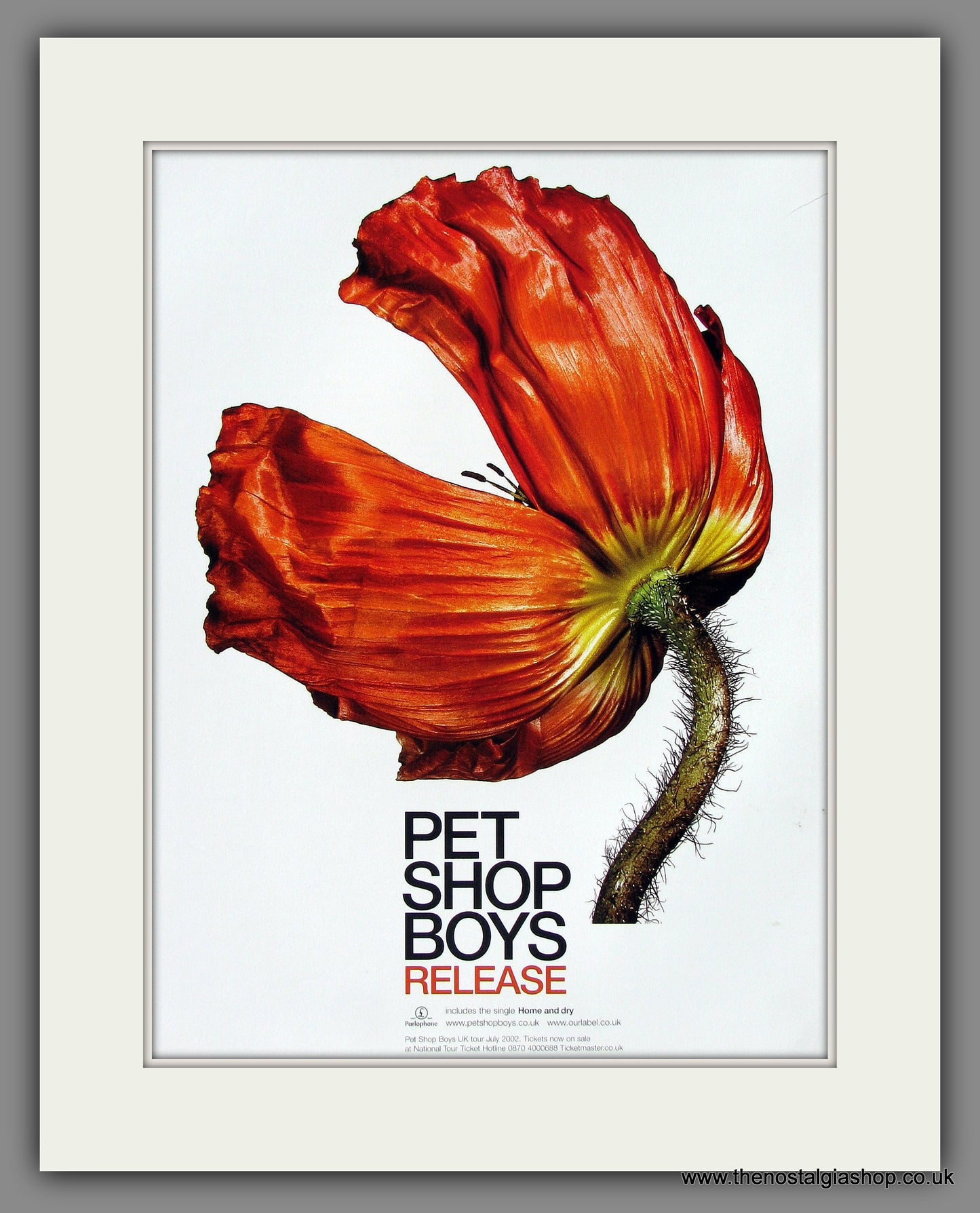 Pet Shop Boys. Release. 2002 Original Advert (ref AD55739)