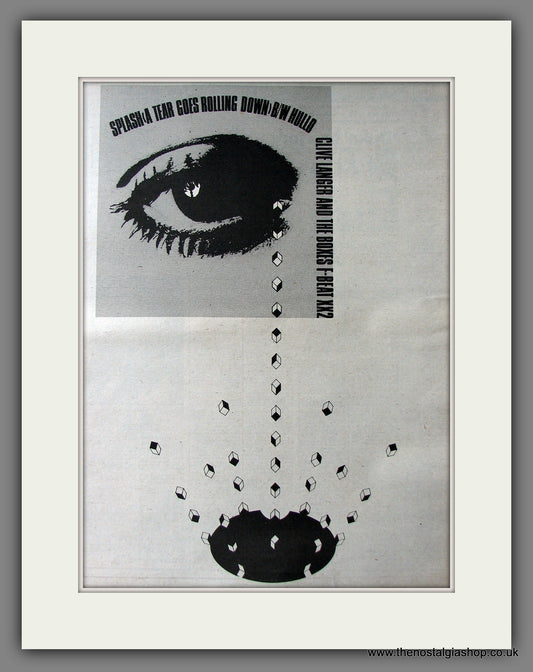 Clive Langer And The Boxes Splash A Tear. Original Advert 1980 (ref AD13508)