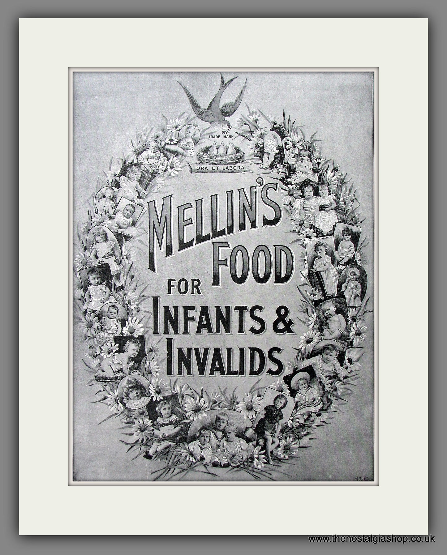 Mellin's Food For Infants and Invalids. Original Advert 1892 (ref AD13336)