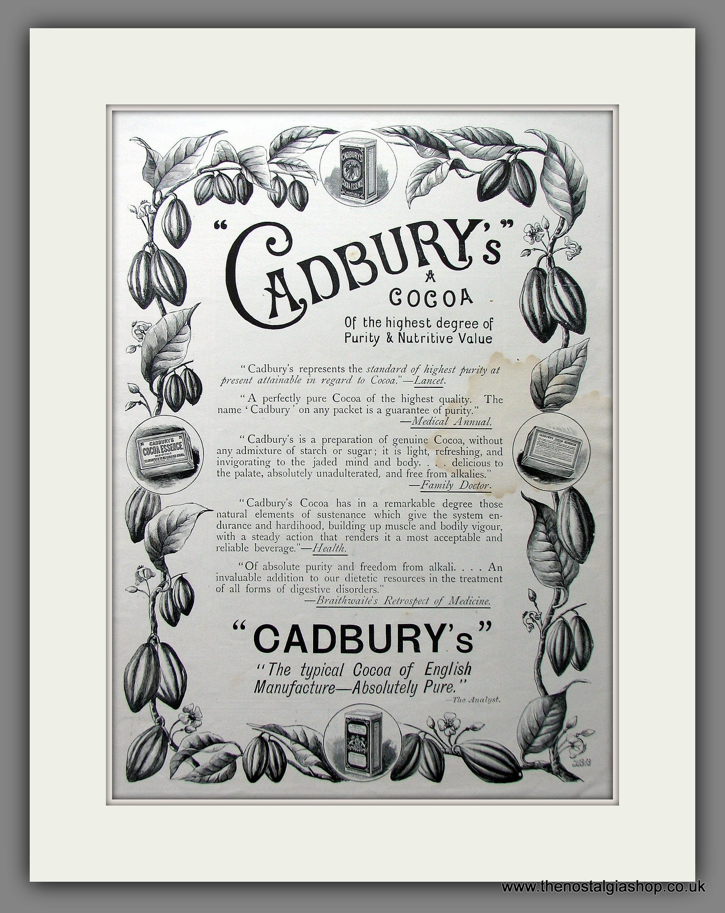 Cadbury's Cocoa. Original Advert 1895 (ref AD13338)