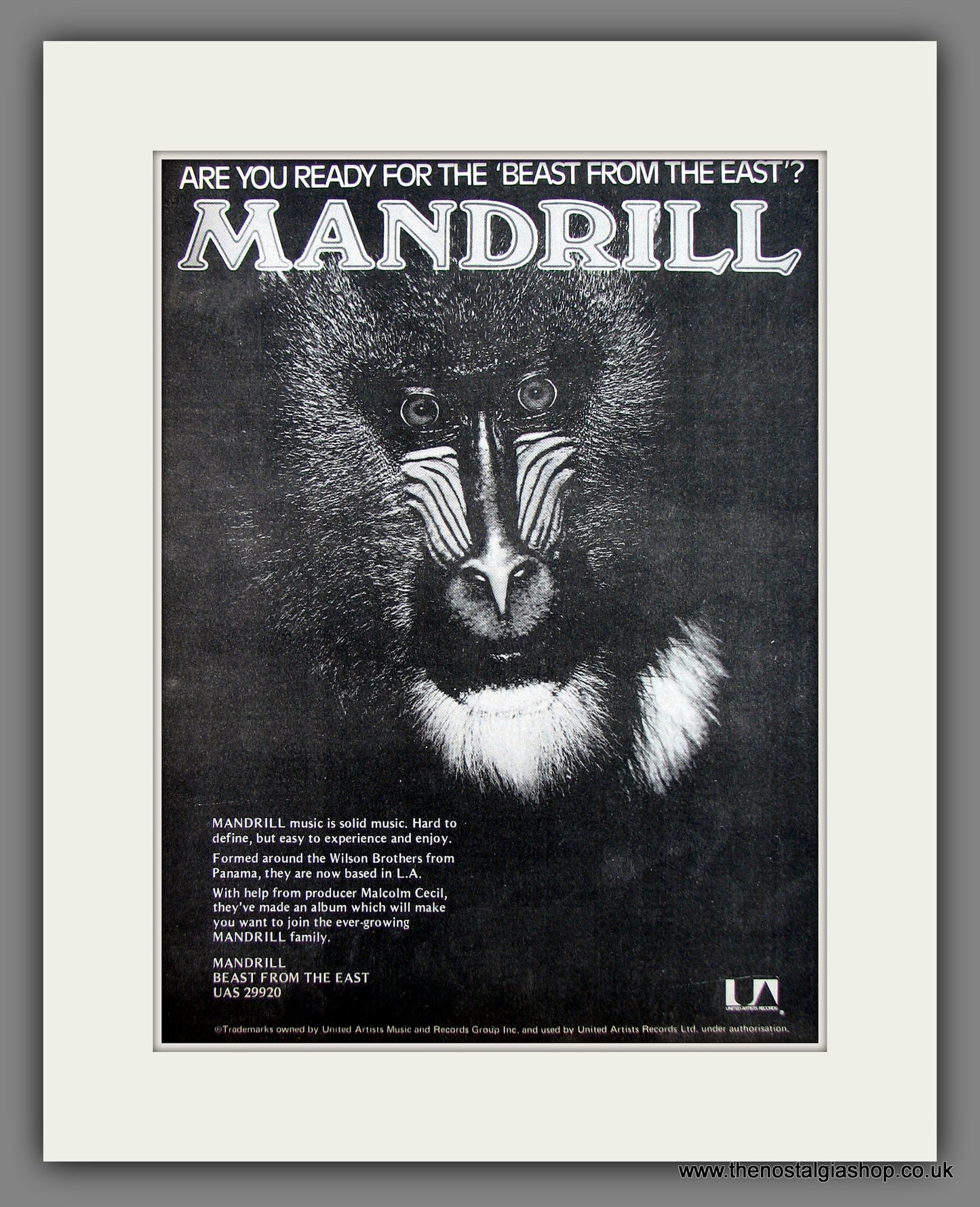 Mandrill. Beast From The East. 1976 Original Advert (ref AD56014)